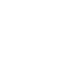 Duck's Conceito